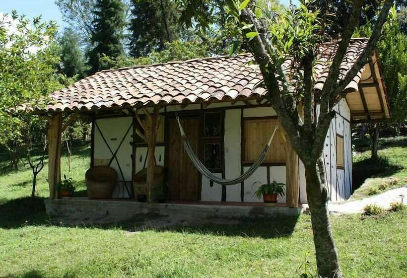 اتاق استاندارد, La Casa De Francois