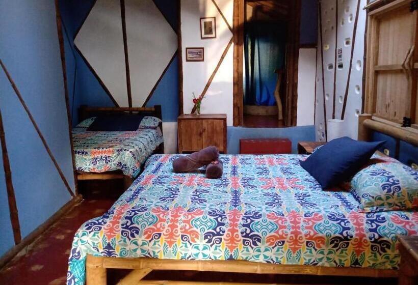 اتاق استاندارد, La Casa De Francois