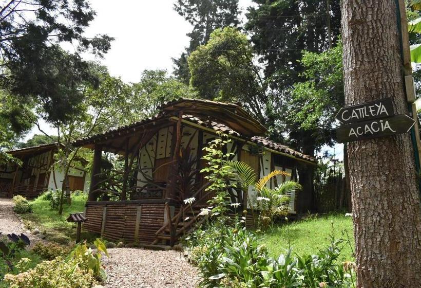 Standard Triple Room with Terrace, La Casa De Francois