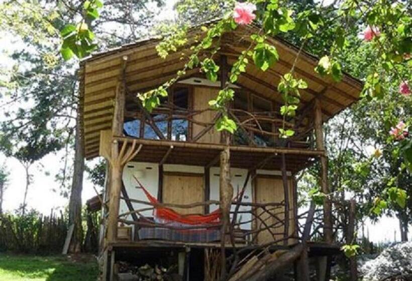 استودیو خانوادگی, La Casa De Francois