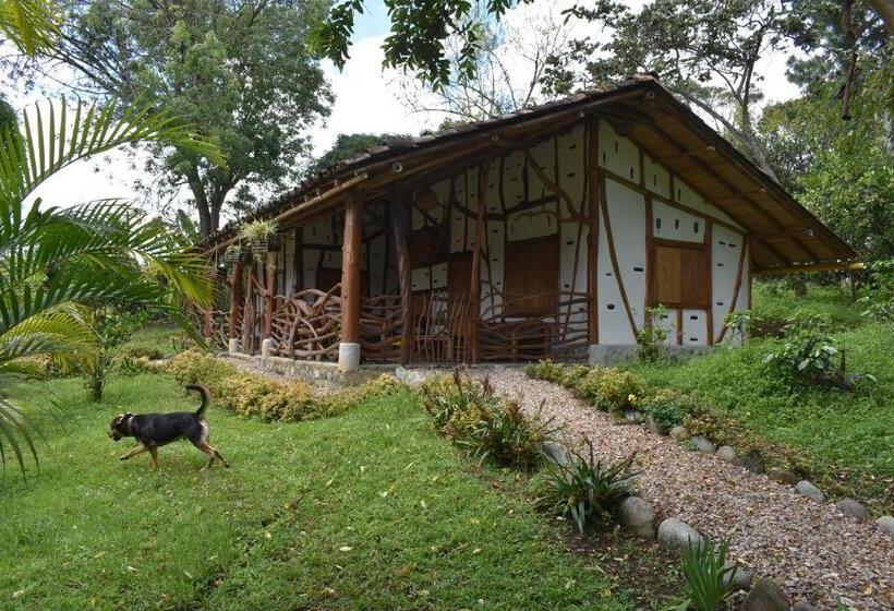 اتاق استاندارد سه نفره, La Casa De Francois