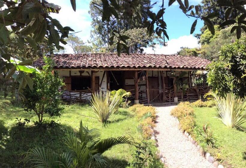 اتاق استاندارد سه نفره, La Casa De Francois