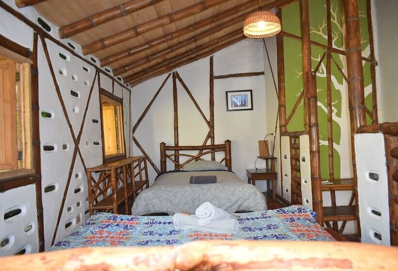 اتاق استاندارد, La Casa De Francois