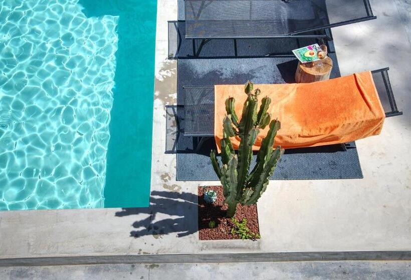 Номер Стандарт, Arty Provence, Piscine Chauffée