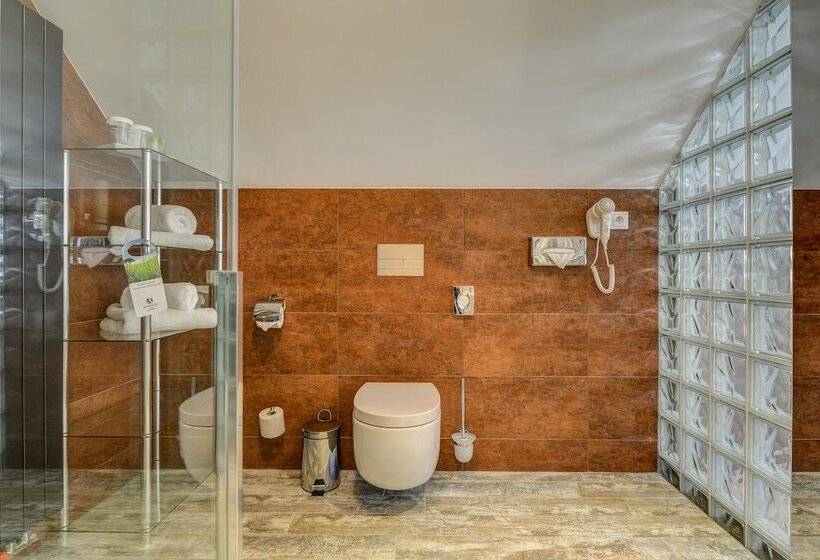 اتاق سوپریور, Amenity Hotel & Resort špindlerův Mlýn