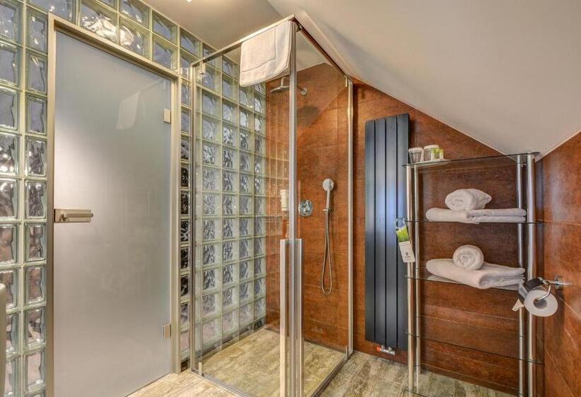 اتاق سوپریور, Amenity Hotel & Resort špindlerův Mlýn