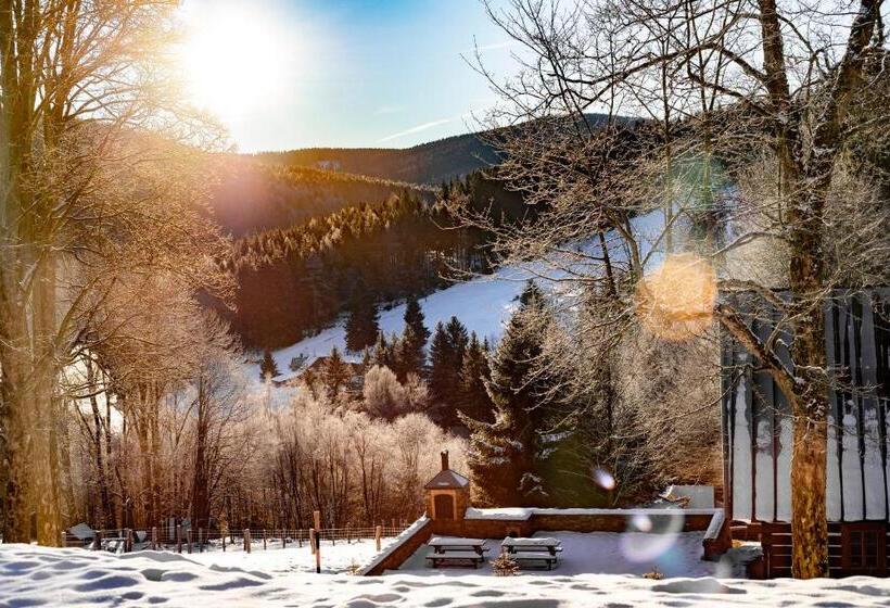 آپارتمان 1 خوابه با تراس, Amenity Hotel & Resort špindlerův Mlýn