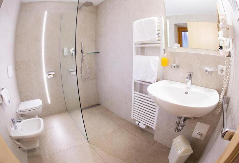 Номер Стандарт с Балконом, Almhotel Bergerhof
