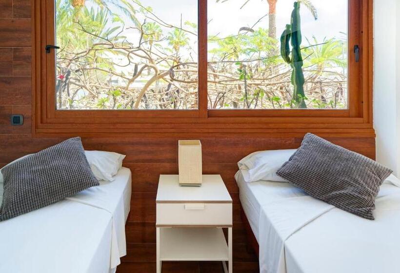 豪华房间, Apartamentos Tamara