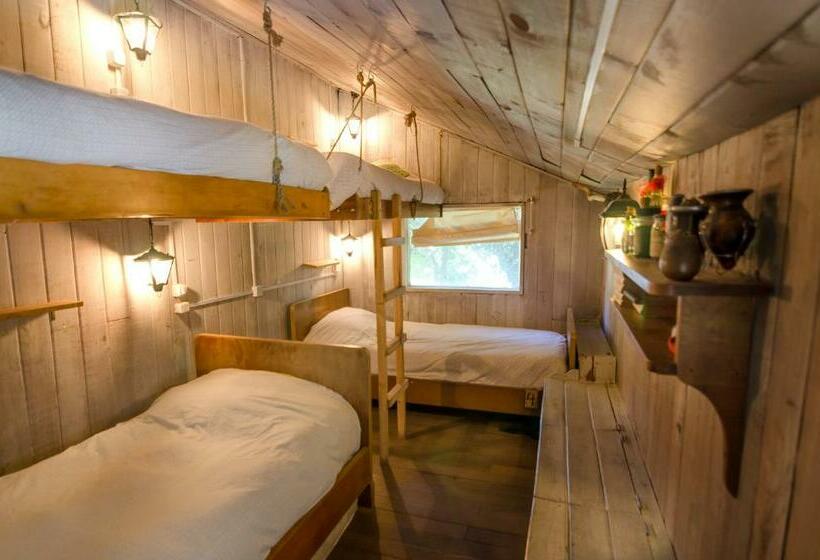 تختخواب در اتاق مشترک, Chili Kiwi Lakefront Backpackers