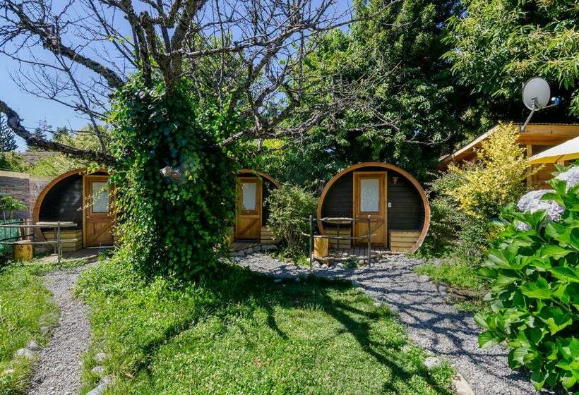 اتاق استاندارد با سرویس بهداشتی مشترک, Chili Kiwi Lakefront Backpackers