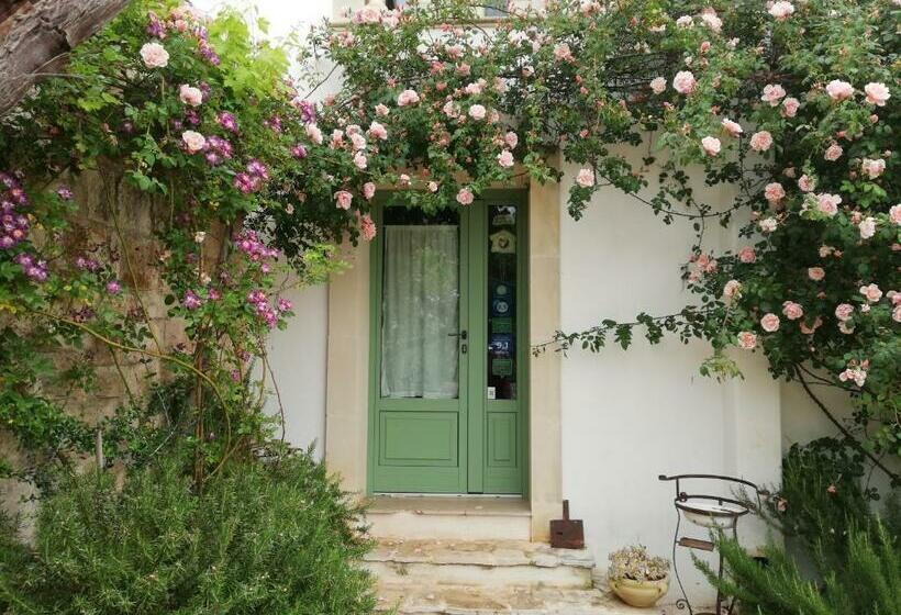 اتاق استاندارد, B&b Giovannarolla Green House