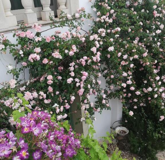 اتاق استاندارد, B&b Giovannarolla Green House