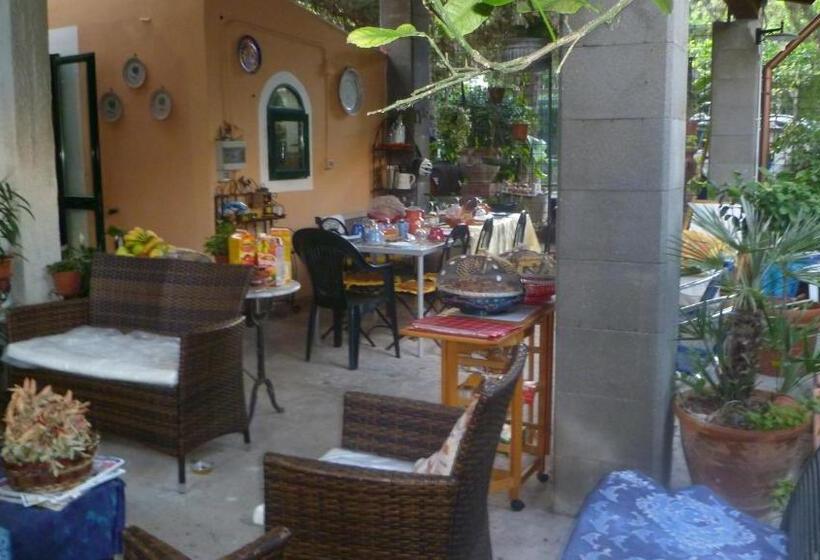 اتاق استاندارد, The Garden