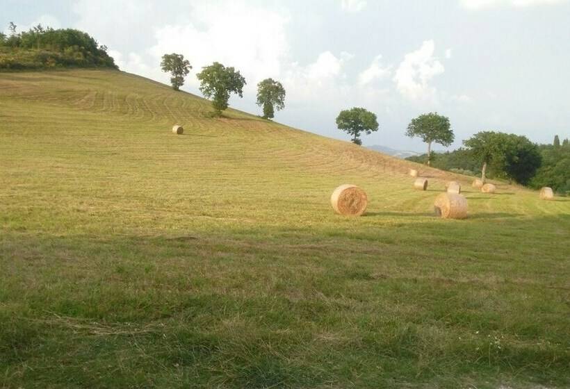 اتاق اکونومی, B&b Monticelli