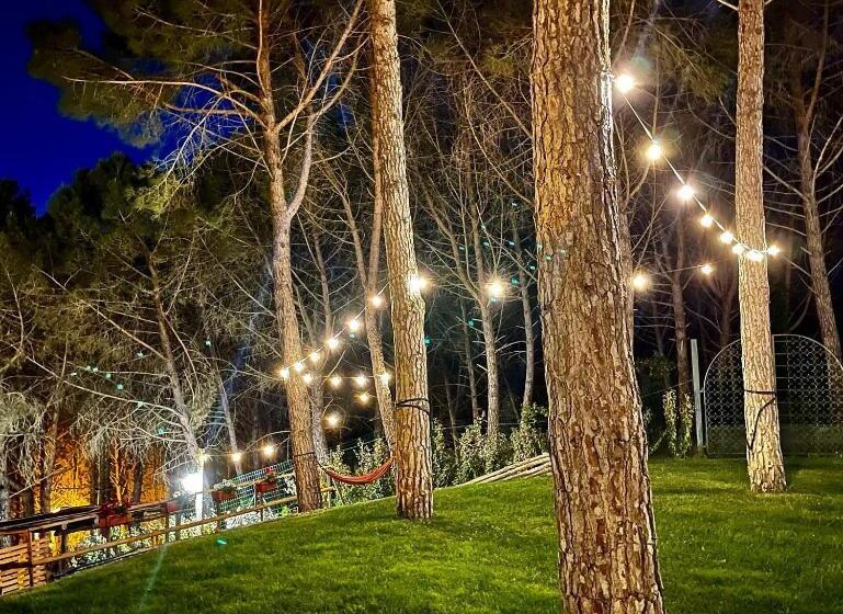 اتاق استاندارد, Camere Vecchia Fonte