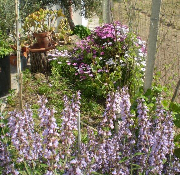 标准间, Il Giardino Di Emilio