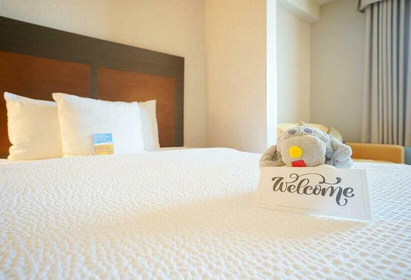 スタンダードルーム, Fairfield Inn & Suites By Marriott Airdrie