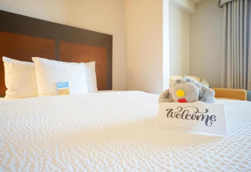 キングサイズベッドのデラックスルーム, Fairfield Inn & Suites By Marriott Airdrie