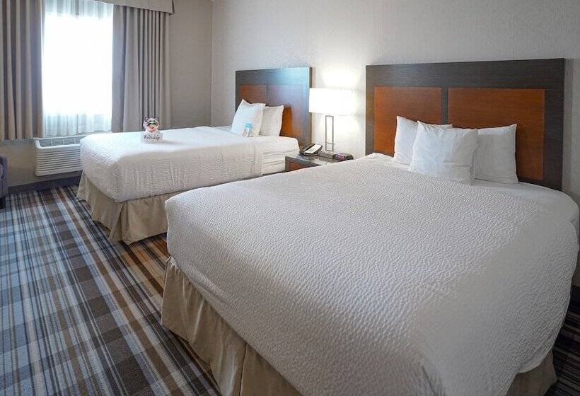 スタンダードルーム, Fairfield Inn & Suites By Marriott Airdrie