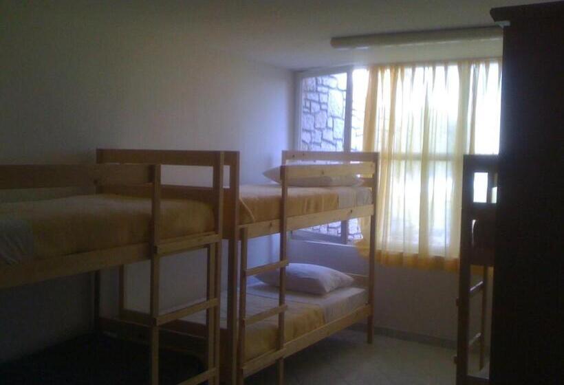 공동 객실, Hostel Amfora