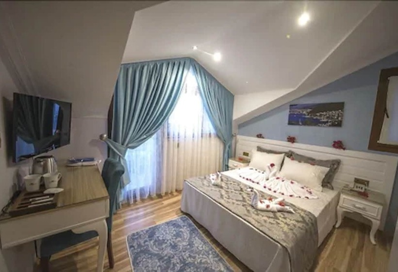 Номер Стандарт, Kayı