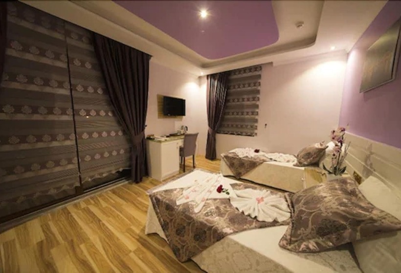 Номер Стандарт, Kayı