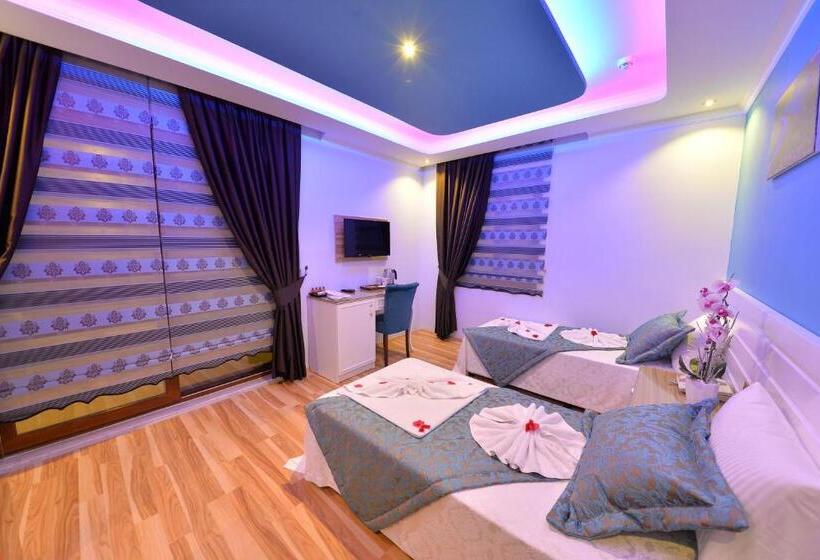 Номер Стандарт, Kayı