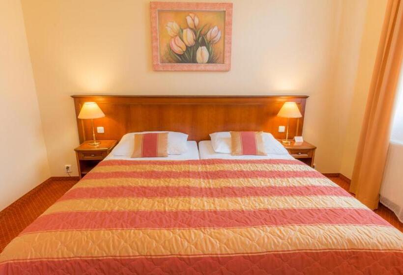 غرفة سوبيريور, Ensana Centrální Lázně   Maria Spa