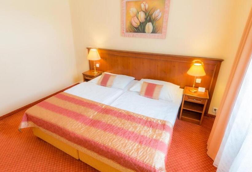 غرفة سوبيريور, Ensana Centrální Lázně   Maria Spa