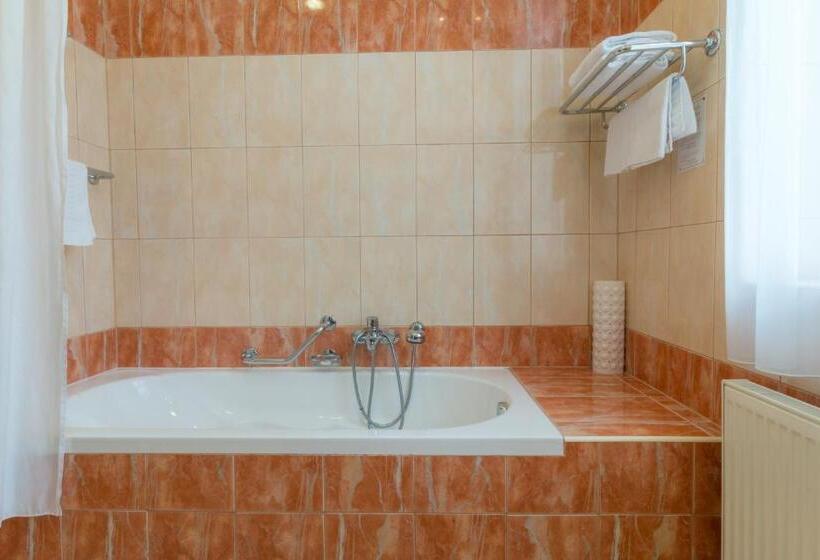 غرفة سوبيريور فردية, Ensana Centrální Lázně   Maria Spa