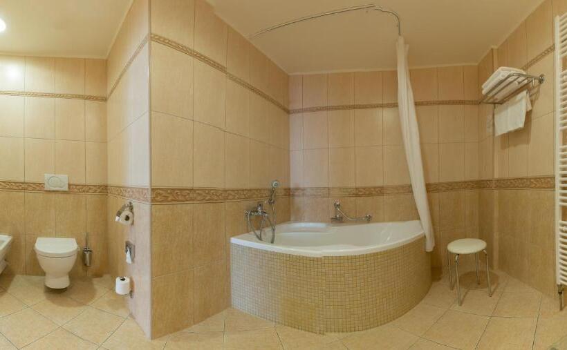 شقة غرفة واحدة, Ensana Centrální Lázně   Maria Spa