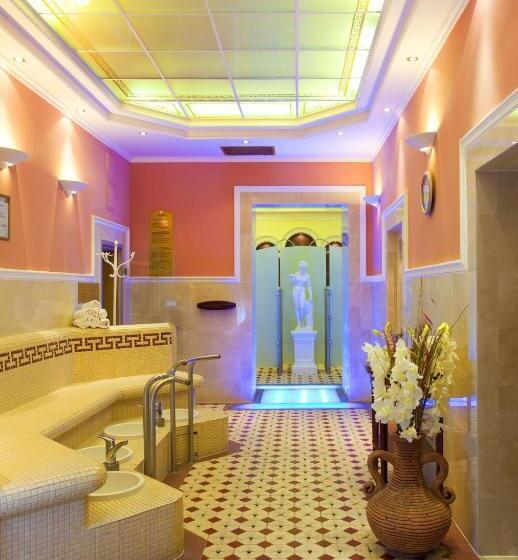 庭の見えるシングルルーム, Ensana Centrální Lázně   Maria Spa
