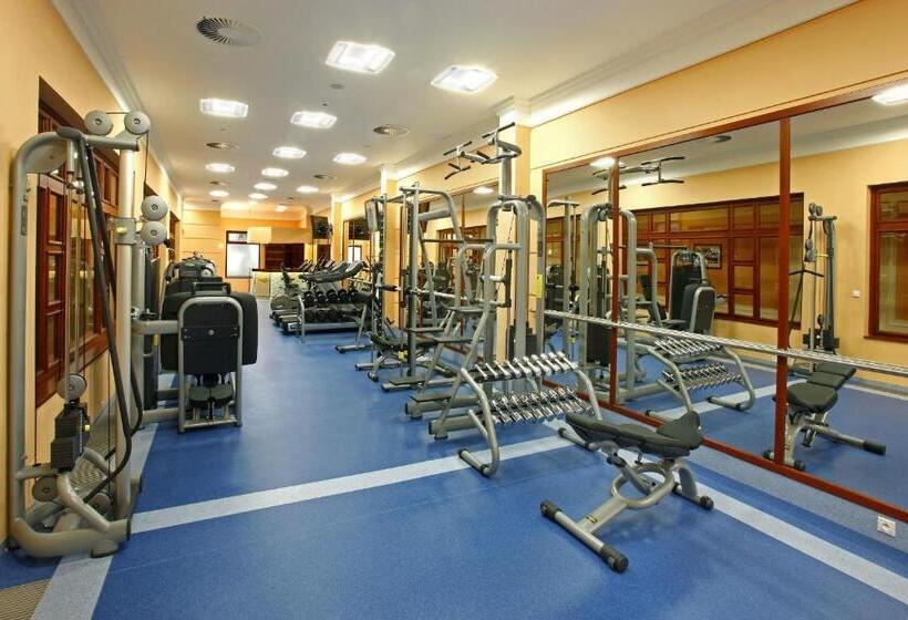 スーペリアシングルルーム, Ensana Centrální Lázně   Maria Spa