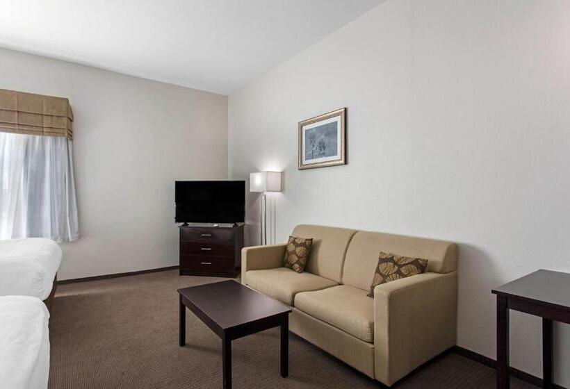 带大床的套房, Sleep Inn Big Spring North I 20