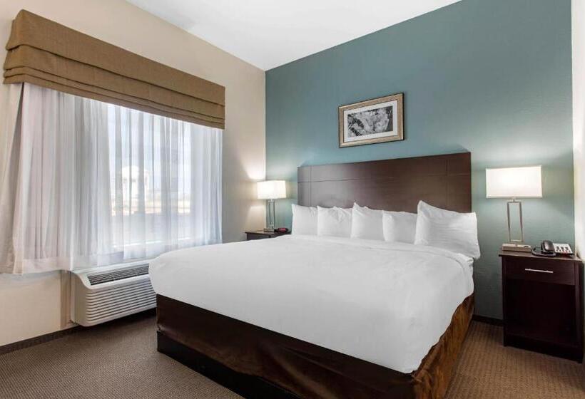 带大床的标准间, Sleep Inn Big Spring North I 20