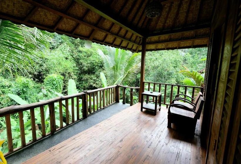 디럭스 방갈로, Song Broek Bali