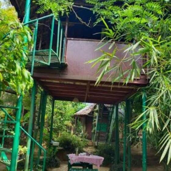 Номер Стандарт, Koomankolly Resort