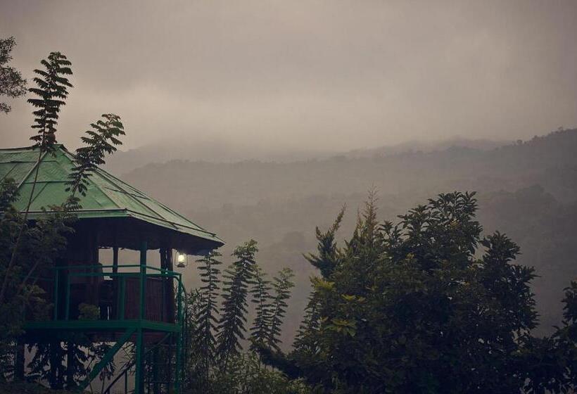 Номер Стандарт, Koomankolly Resort