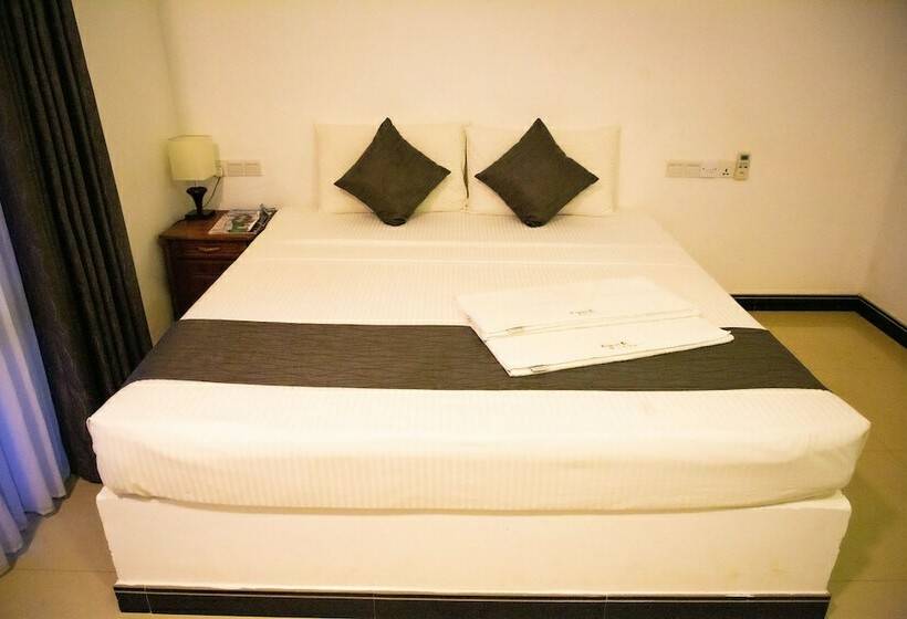 اتاق لوکس, Amelia Resort
