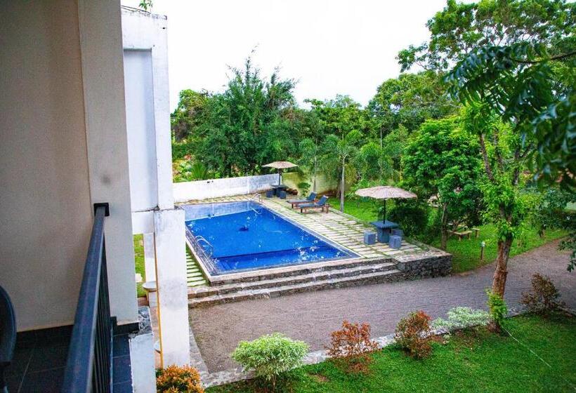 اتاق لوکس, Amelia Resort