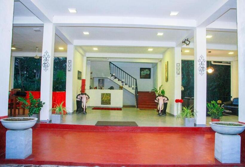 اتاق لوکس سه تخته, Amelia Resort