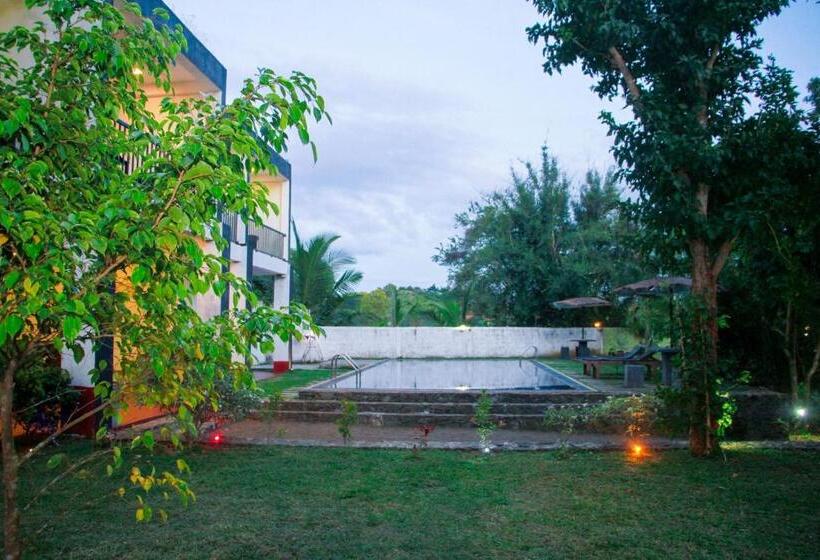 اتاق لوکس خانوادگی, Amelia Resort