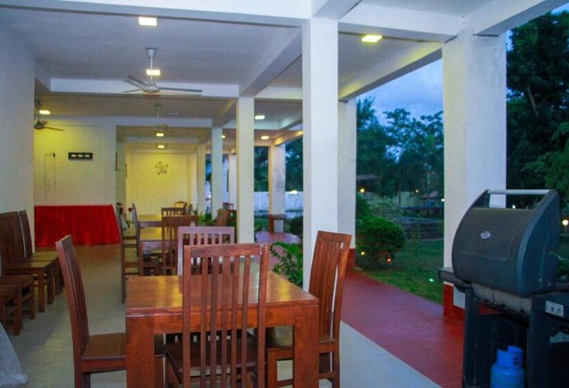 اتاق لوکس خانوادگی, Amelia Resort