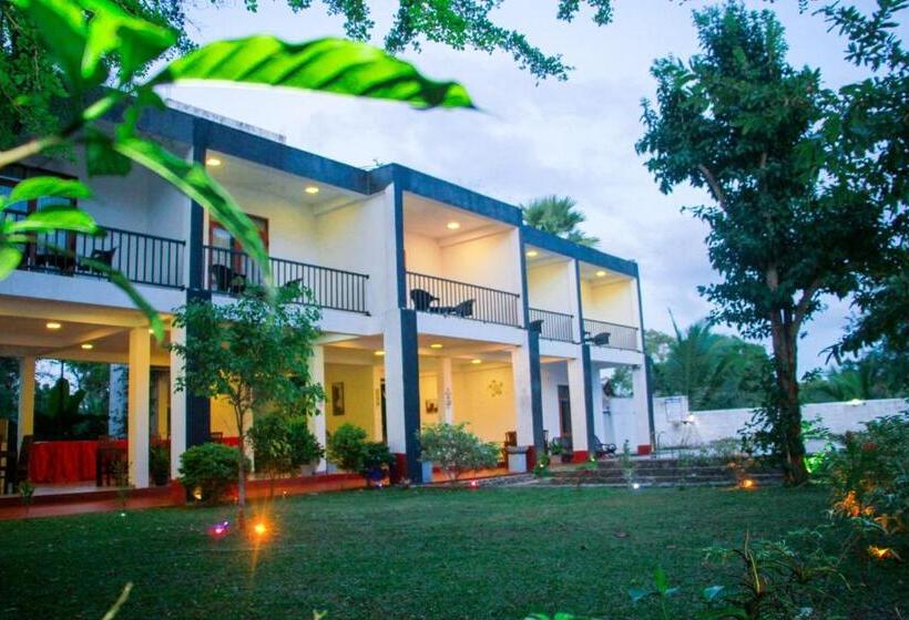 اتاق لوکس خانوادگی, Amelia Resort