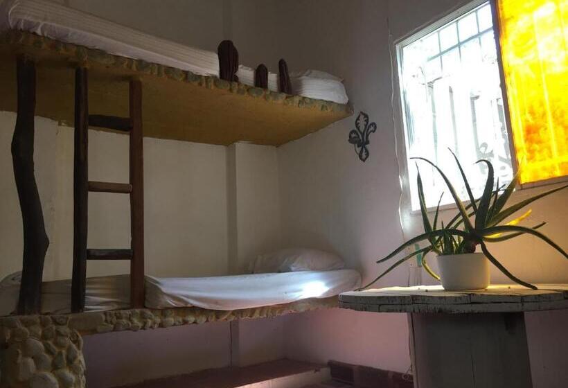 Кровать в Общей Комнате, Casa Barca Taganga Hostel