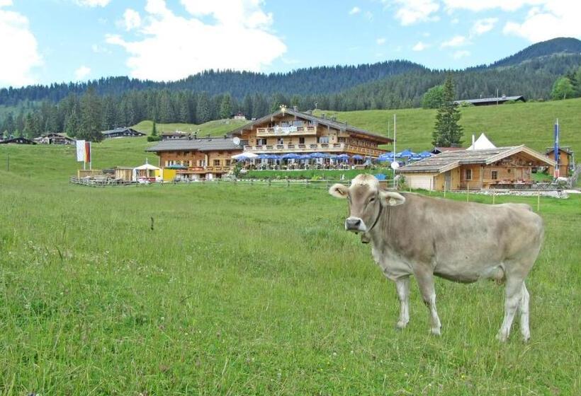 اتاق استاندارد, Winklmoos Sonnenalm