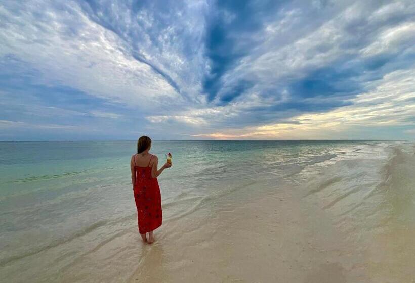 سوییت خانوادگی, Milele Beach Resort
