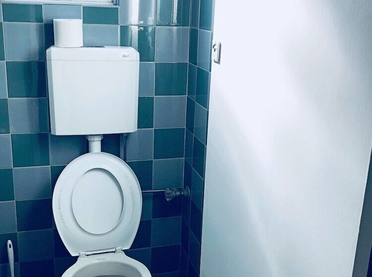 اتاق استاندارد با سرویس بهداشتی مشترک, Swansea