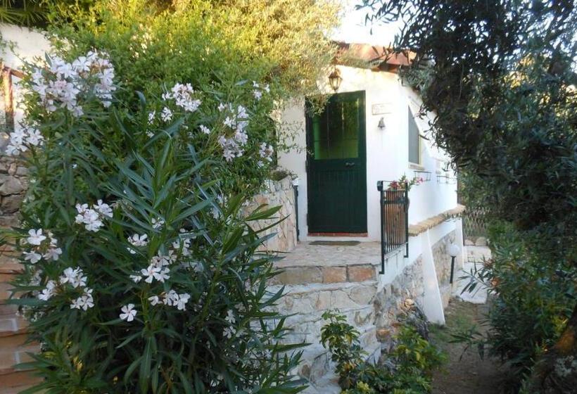 بنگله خانوادگی, La Maison Galu